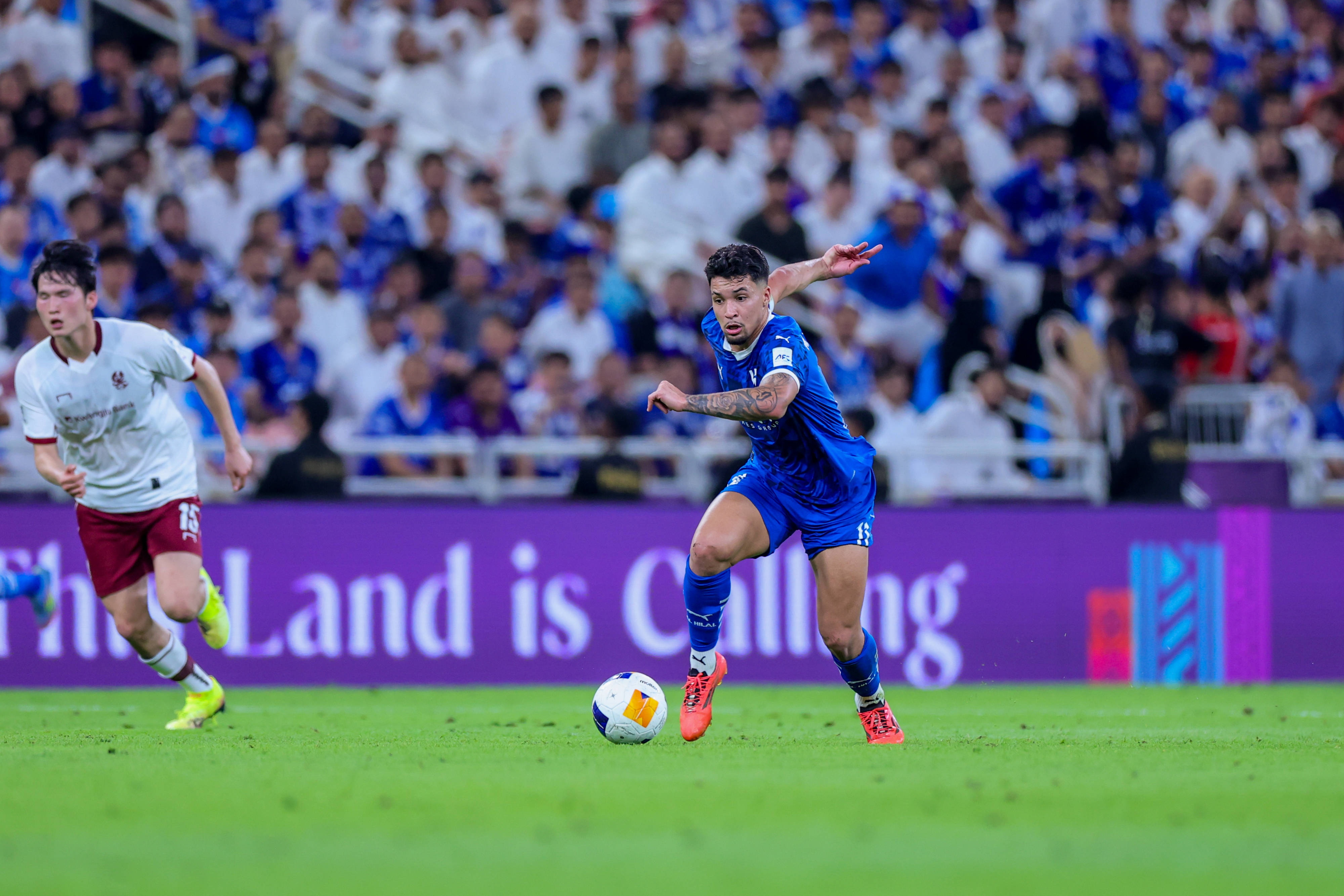 众多俱乐部, msn, 特别是考虑