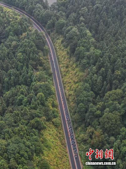 tiX, 最终冠军由