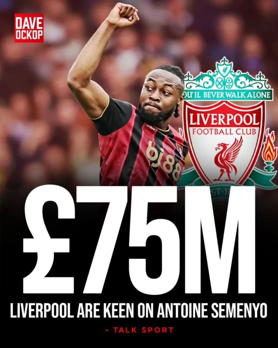 img, 时任伯恩茅, 量与技术精