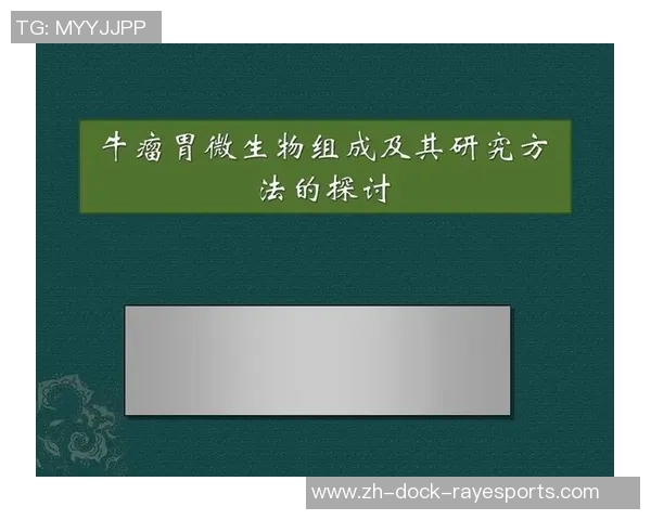 德语与德国足球的深厚联系探讨及其对文化的影响